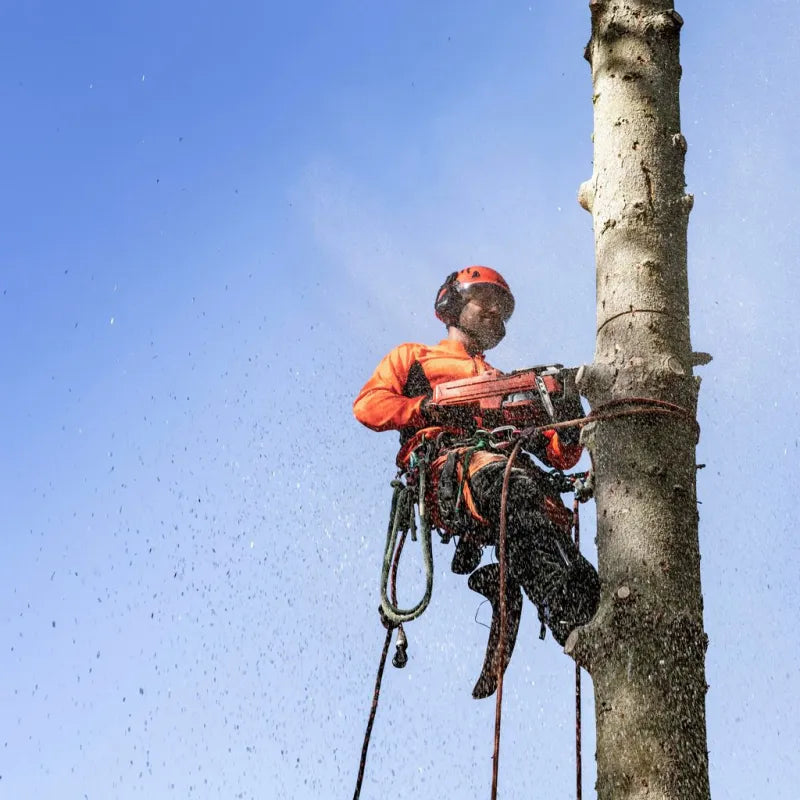 Husqvarna 550 XP® 50.1 cm³ Professional Petrol Chainsaw